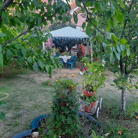Apartman Drina Berilovac Экстерьер фото